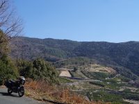 DATZ Blog | thumbnail