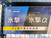 DATZ Blog | thumbnail