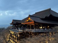 DATZ Blog | thumbnail