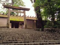 DATZ Blog | thumbnail